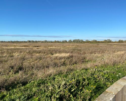 THE VASTNESS OF OUSE FEN