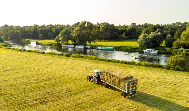 Making Hay